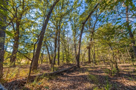 Elkhart, TX 75839 Anderson County