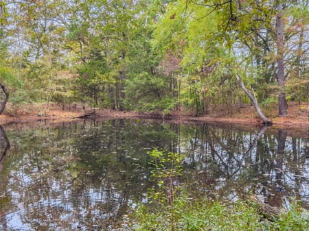 Elkhart, TX 75839 Anderson County