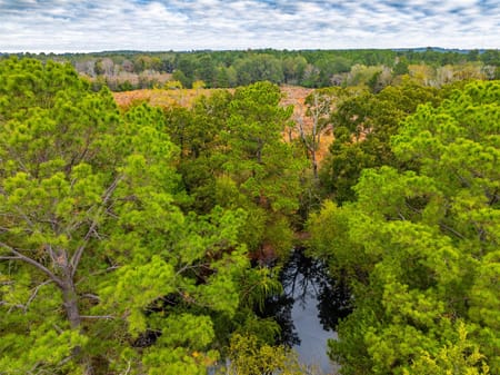 Elkhart, TX 75839 Anderson County
