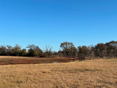 Ben Wheeler, TX 75754 Van Zandt County