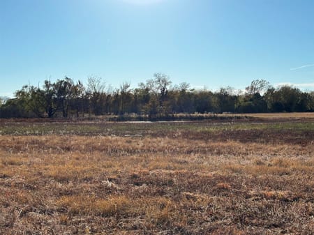Ben Wheeler, TX 75754 Van Zandt County