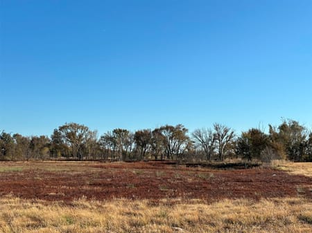 Ben Wheeler, TX 75754 Van Zandt County