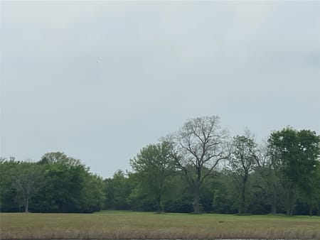 Ben Wheeler, TX 75754 Van Zandt County