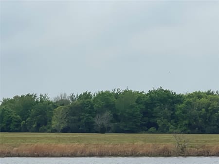 Ben Wheeler, TX 75754 Van Zandt County