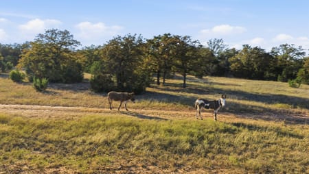 Lipan, TX 76462 Hood County