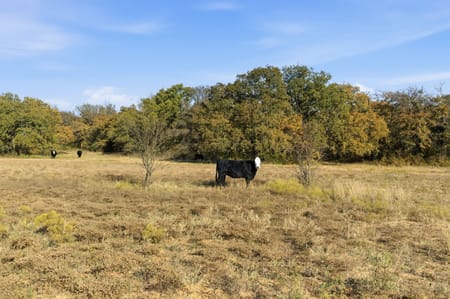 Lipan, TX 76462 Hood County