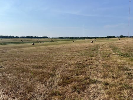 Windom, TX 75492 Fannin County