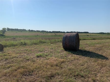 Windom, TX 75492 Fannin County