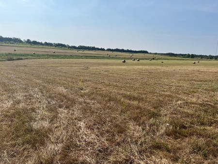 Windom, TX 75492 Fannin County