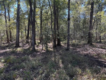 Dayton, TX 77535 Liberty County