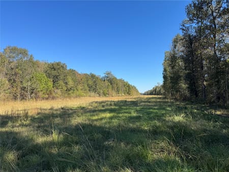 Dayton, TX 77535 Liberty County