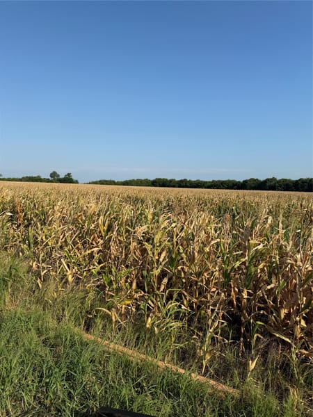 Honey Grove, TX 75446 Fannin County