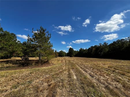 Dayton, TX 77535 Liberty County