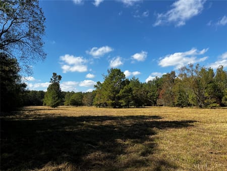 Dayton, TX 77535 Liberty County