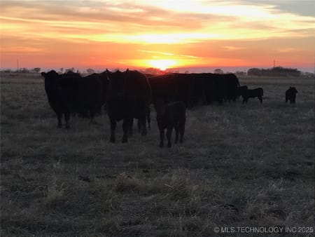 Fairland, OK 74343 Ottawa County