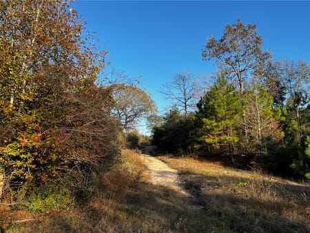 Cleveland, TX 77327 Liberty County