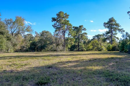 Montgomery, TX 77316 Montgomery County