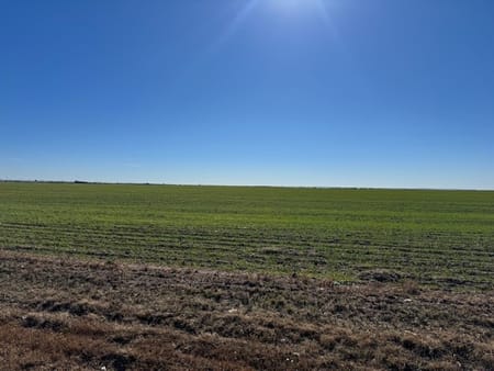 Abilene, TX 79601 Taylor County