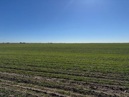 Abilene, TX 79601 Taylor County