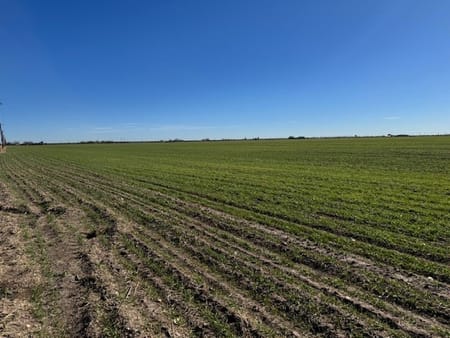 Abilene, TX 79601 Taylor County