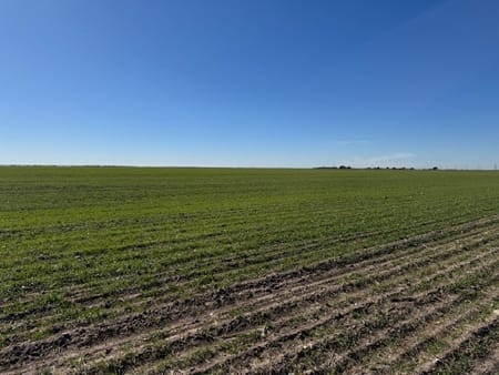 Abilene, TX 79601 Taylor County