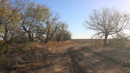 Abilene, TX 79601 Taylor County