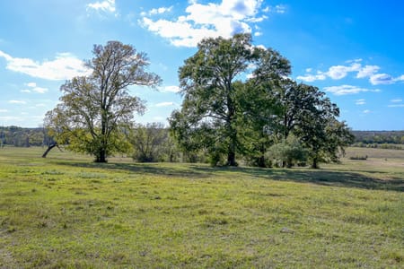 Montgomery, TX 77316 Montgomery County