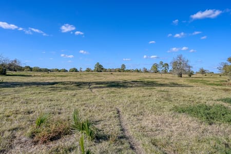 Montgomery, TX 77316 Montgomery County