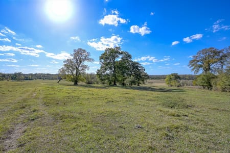 Montgomery, TX 77316 Montgomery County