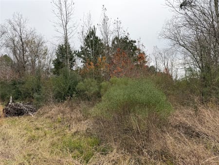 Dayton, TX 77535 Liberty County