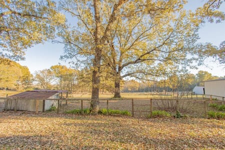 Tyler, TX 75704 Smith County