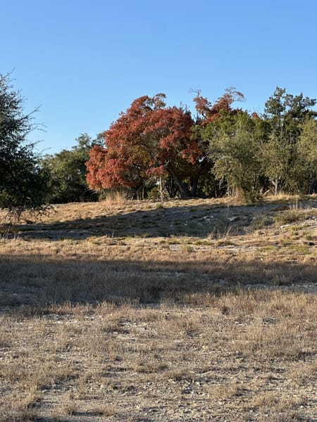 Wimberley, TX 78676 Comal County