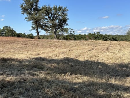 Wimberley, TX 78676 Comal County