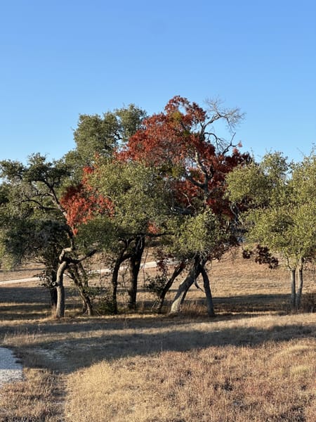 Wimberley, TX 78676 Comal County