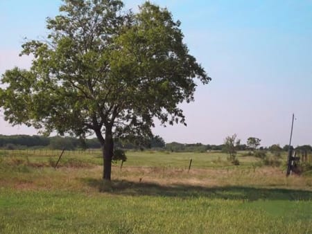 Whitesboro, TX 76273 Grayson County