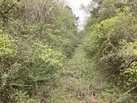 Dayton, TX 77535 Liberty County