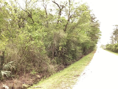 Dayton, TX 77535 Liberty County