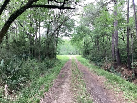 Dayton, TX 77535 Liberty County