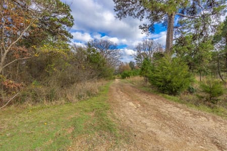 Pittsburg, TX 75686 Camp County