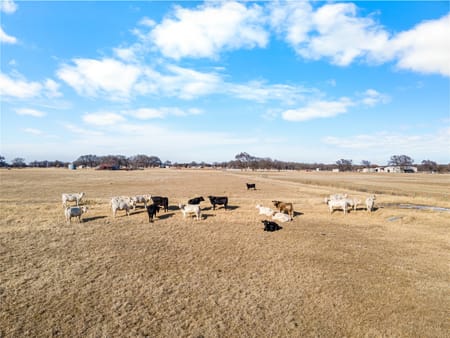 Tioga, TX 76271 Cooke County