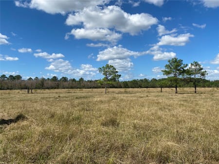 Liberty, TX 77575 Liberty County