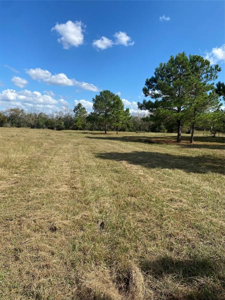 Liberty, TX 77575 Liberty County
