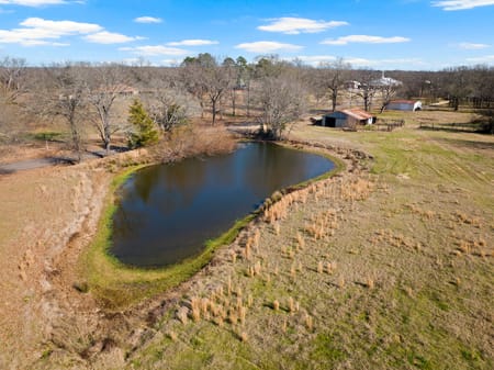 Mt Pleasant, TX 75455 Titus County