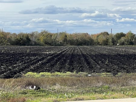 Richmond, TX 77469 Fort Bend County