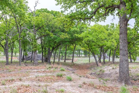 Ovalo, TX 79541 Taylor County