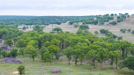 Ovalo, TX 79541 Taylor County