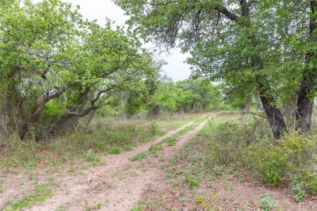 Ovalo, TX 79541 Taylor County