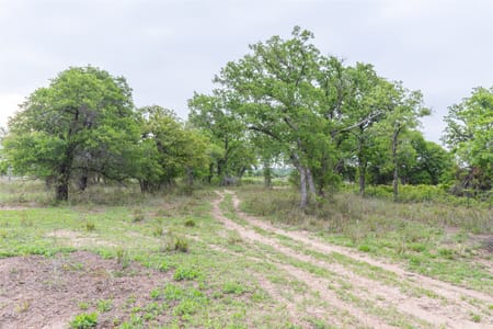 Ovalo, TX 79541 Taylor County