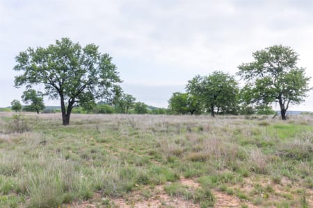 Ovalo, TX 79541 Taylor County