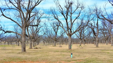 Granbury, TX 76049 Hood County